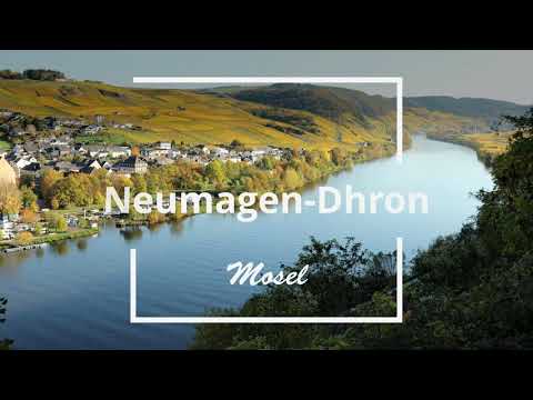 Neumagen-Dhron an der Mosel Flusskilometer 152