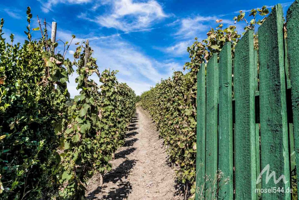 Tor zu den Weinlagen