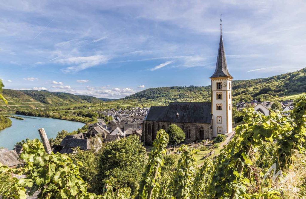 Aus den Weinlagen