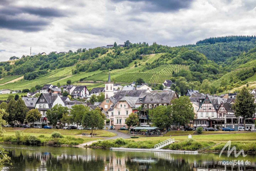 Reil mit Mosel