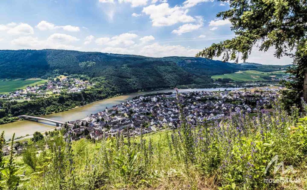 Blick in das Moseltal vom Steig