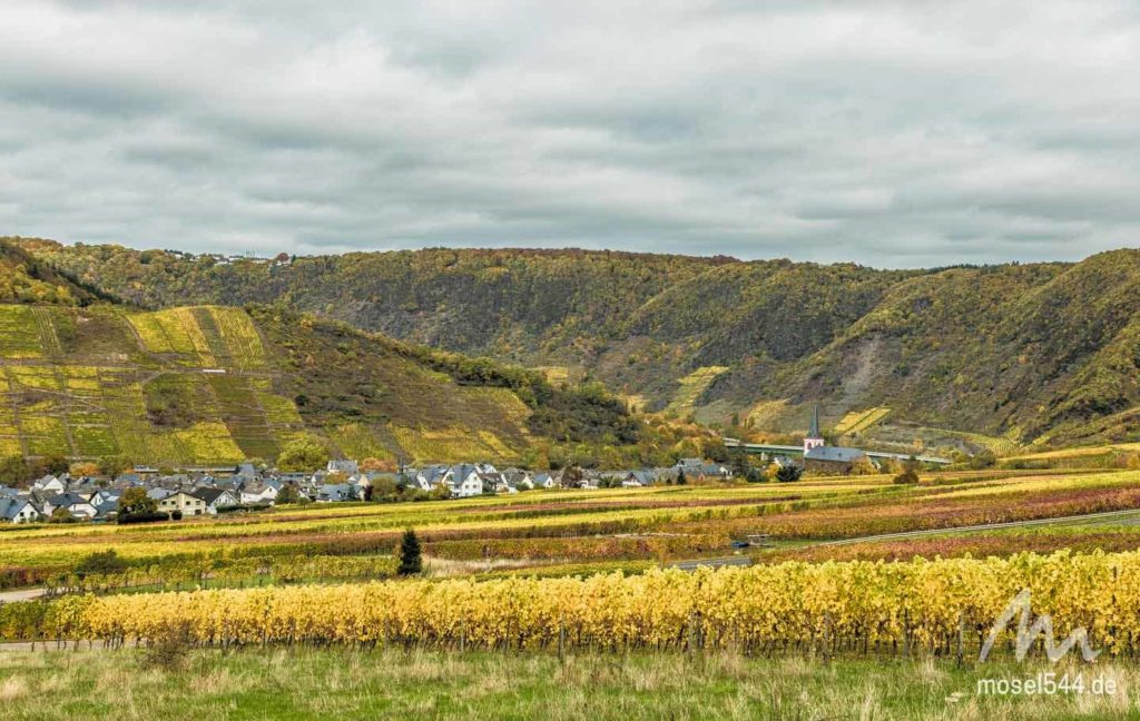 Bruttig aus den Weinlagen gesehen