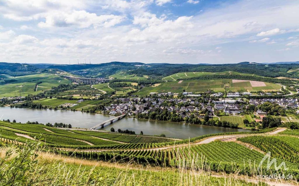 Longuich Panorama aus den Weinbergen