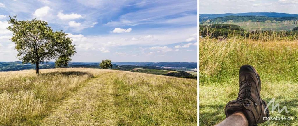 Mehringer Berg mit Aussicht in Hunsrück und Eifel