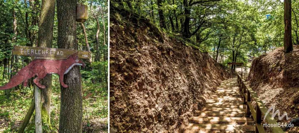 Tierlehrpfad und Himmelstreppe