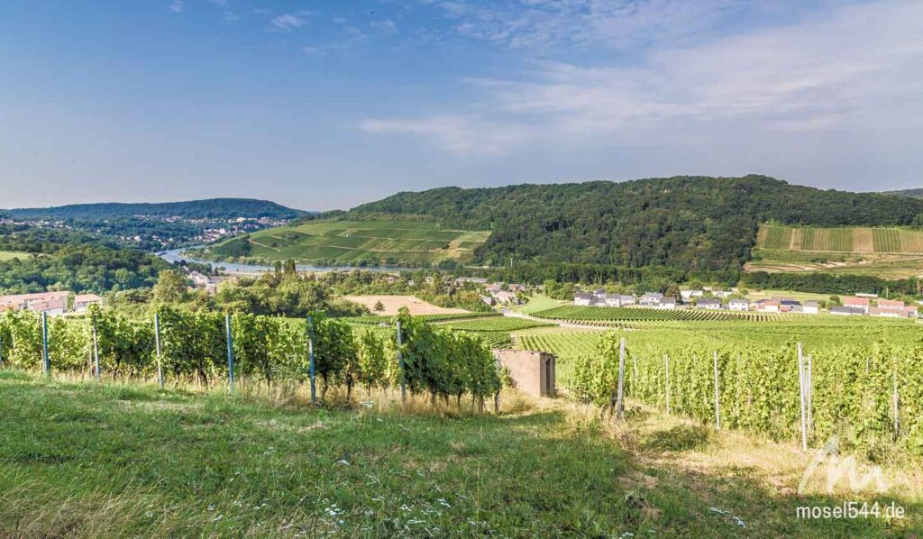 Das Dreiländereck an der Mosel.