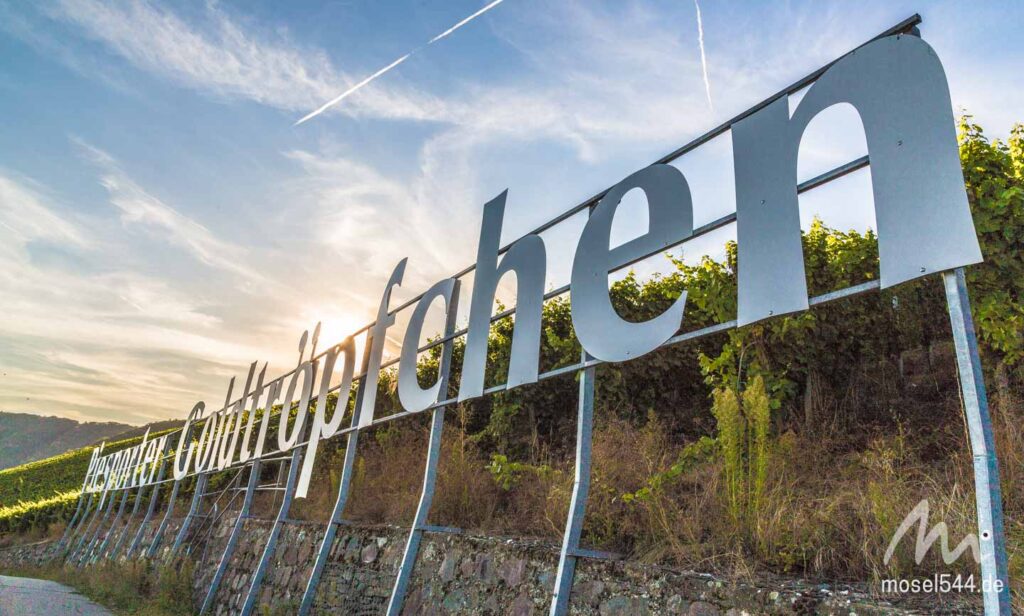 Der Goldtröpfchen Weinberg bei Sonnenuntergang. Man ahnt, wie der Weinberg wahrscheinlich zu seinem Namen kam.