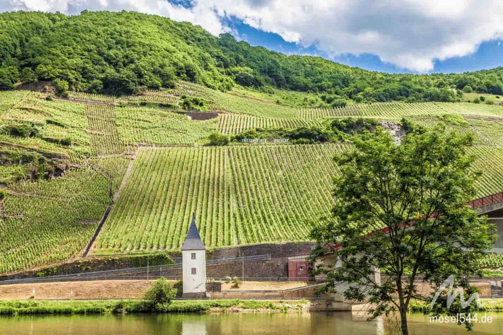 Mosel mit Fährturm direkt an der Moselbrücke.