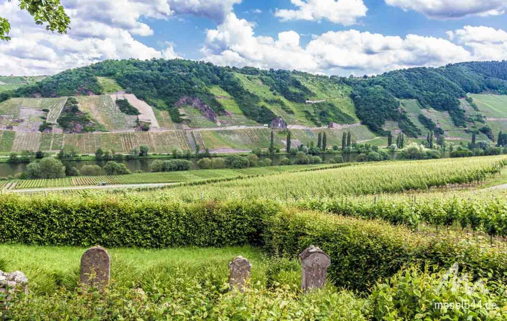 Moseltal und jüdischer Friedhof. Auf der anderen Moselseite sieht man die Neumagener Sonnenuhr.