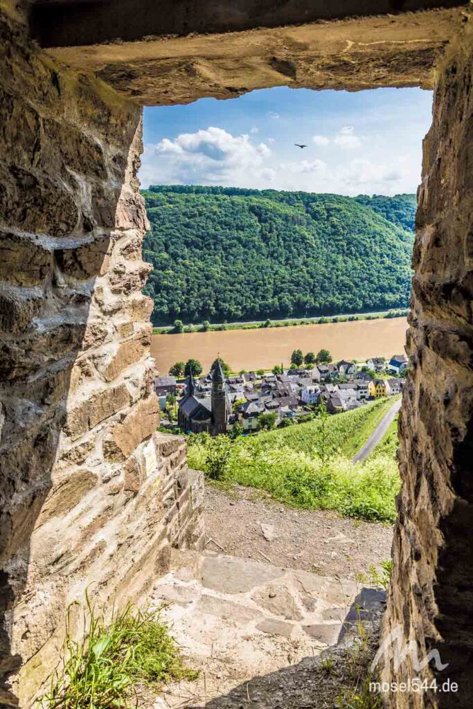Die Winzerhütte bietet Schutz. In meinem Fall vor der prallen Sonne.